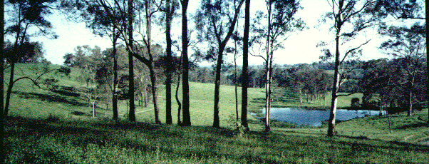 View of original Keyline farm Nevallan