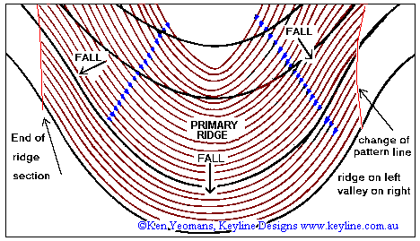 Ridge cultivation pattern